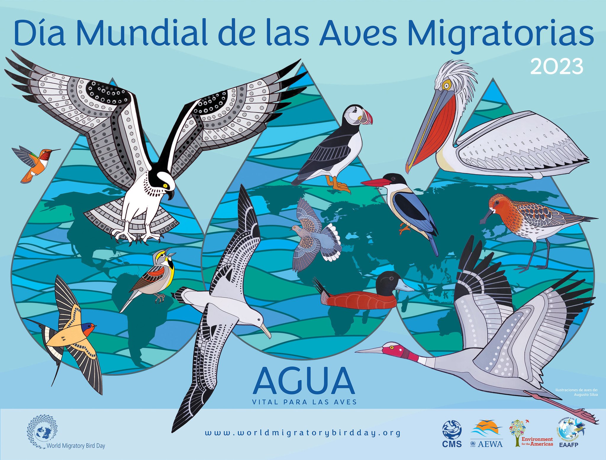 Festival por el Día Mundial de las Aves Migratorias World Migratory