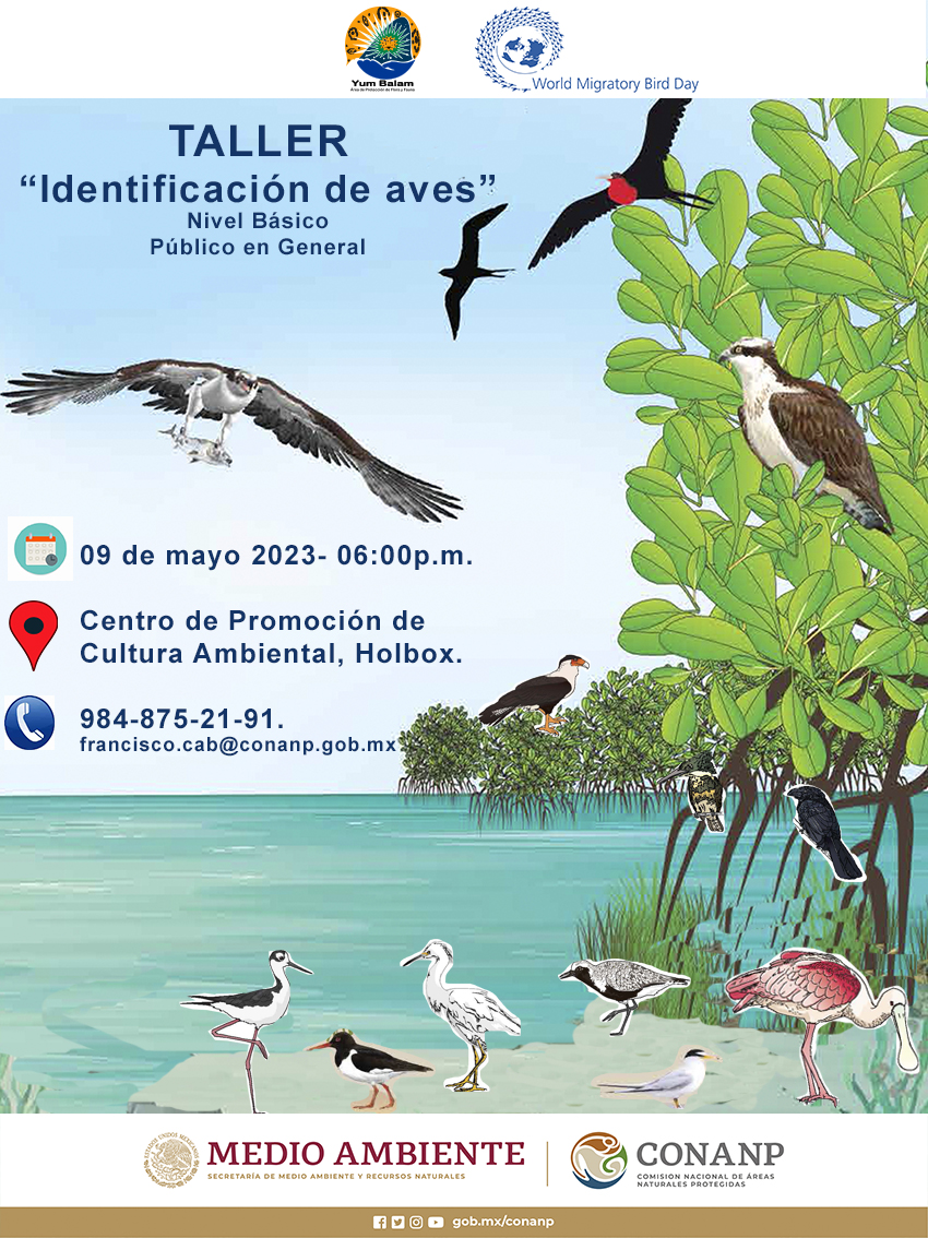 Taller De Identificación De Aves | World Migratory Bird Day