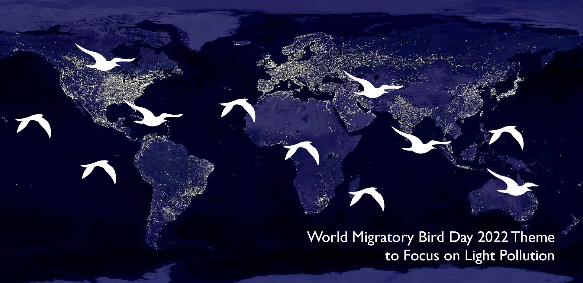 Light Pollution Wmbd22 World Migratory Bird Day