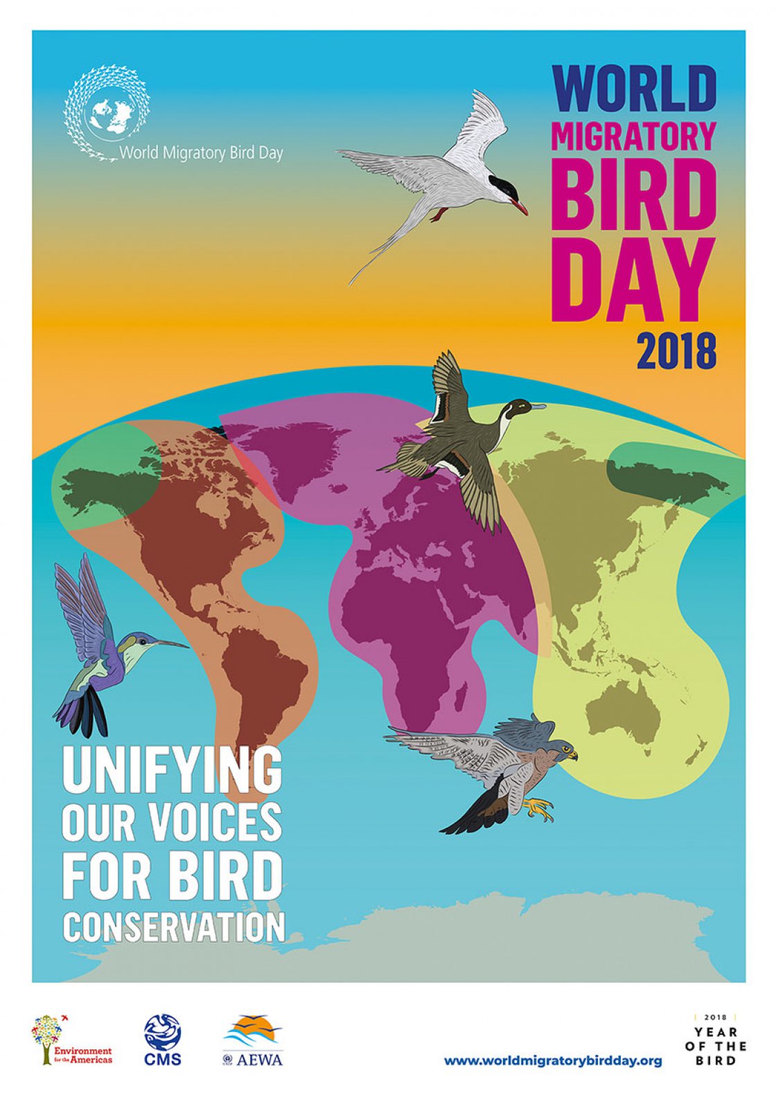 May Event Highlights | World Migratory Bird Day